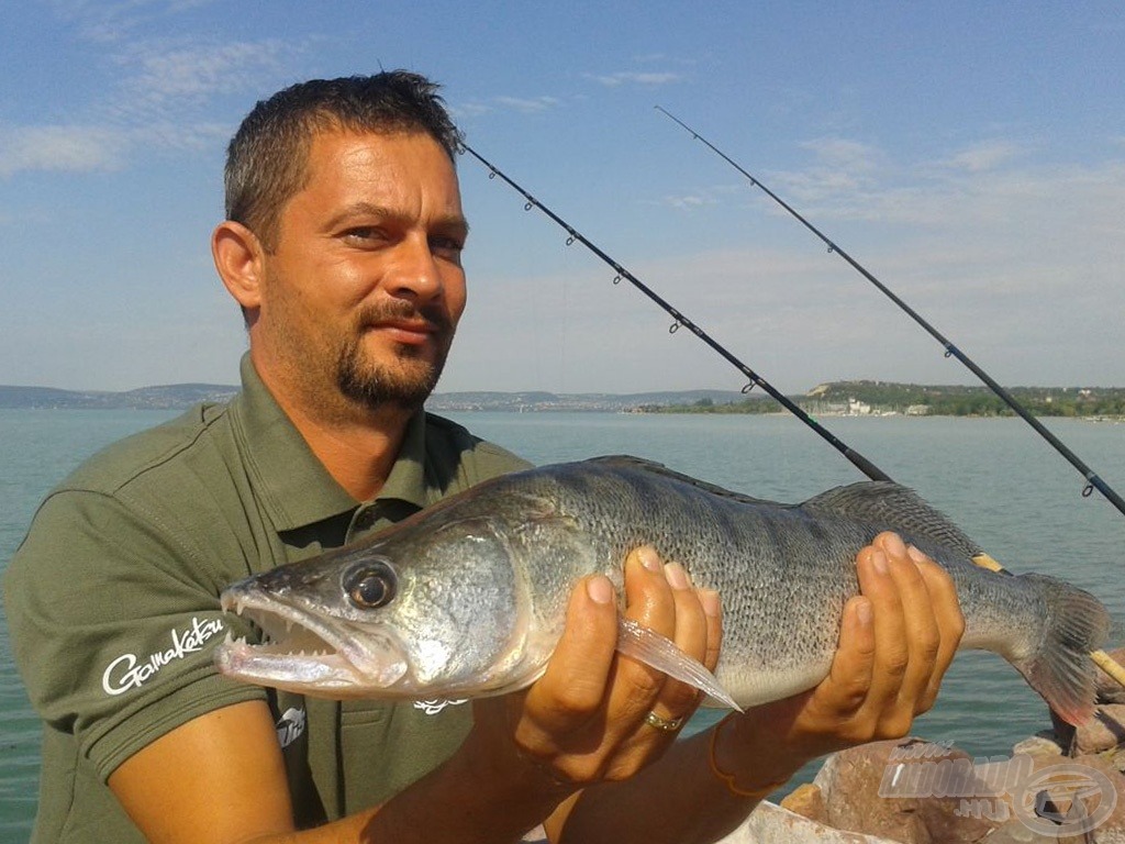 Éjszaka fogott süllőm nappali fényben