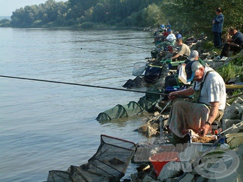 A Bajnokok Kupája mezőny. Az előtérben egy élő legenda, Rimer Marci bácsi, aki 70 évesen is versenyzik!