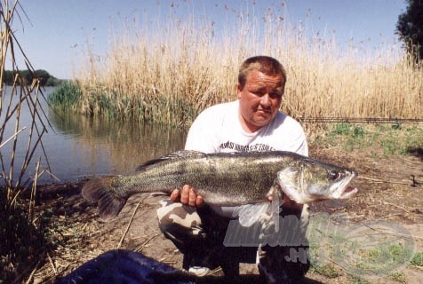 süllő, 6,35 kg