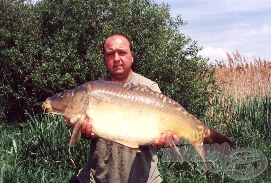 tükörponty, 12,5 kg