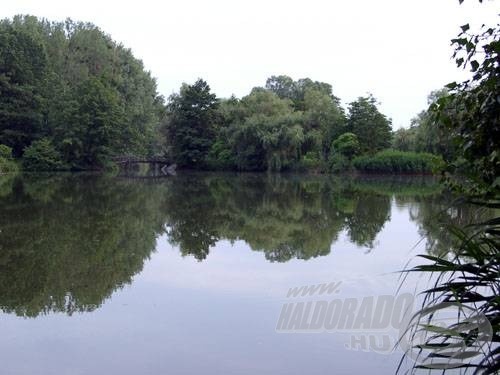 A tagolt vízre még egy híd is jutott. A környezet egyébként meggyőző: nagy fák, bokrok, nádasok