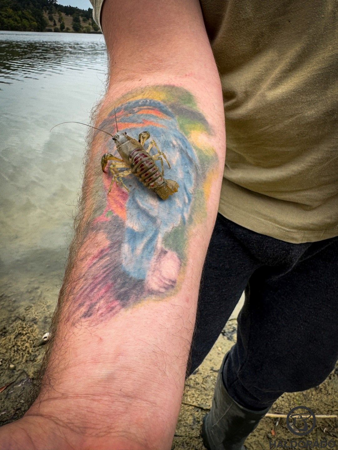 A tóban van rák is bőven