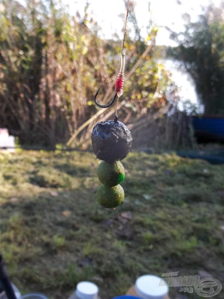 A saját csokis-májas, Haldorádó Green Pepperes kombó most nem hozta a halat