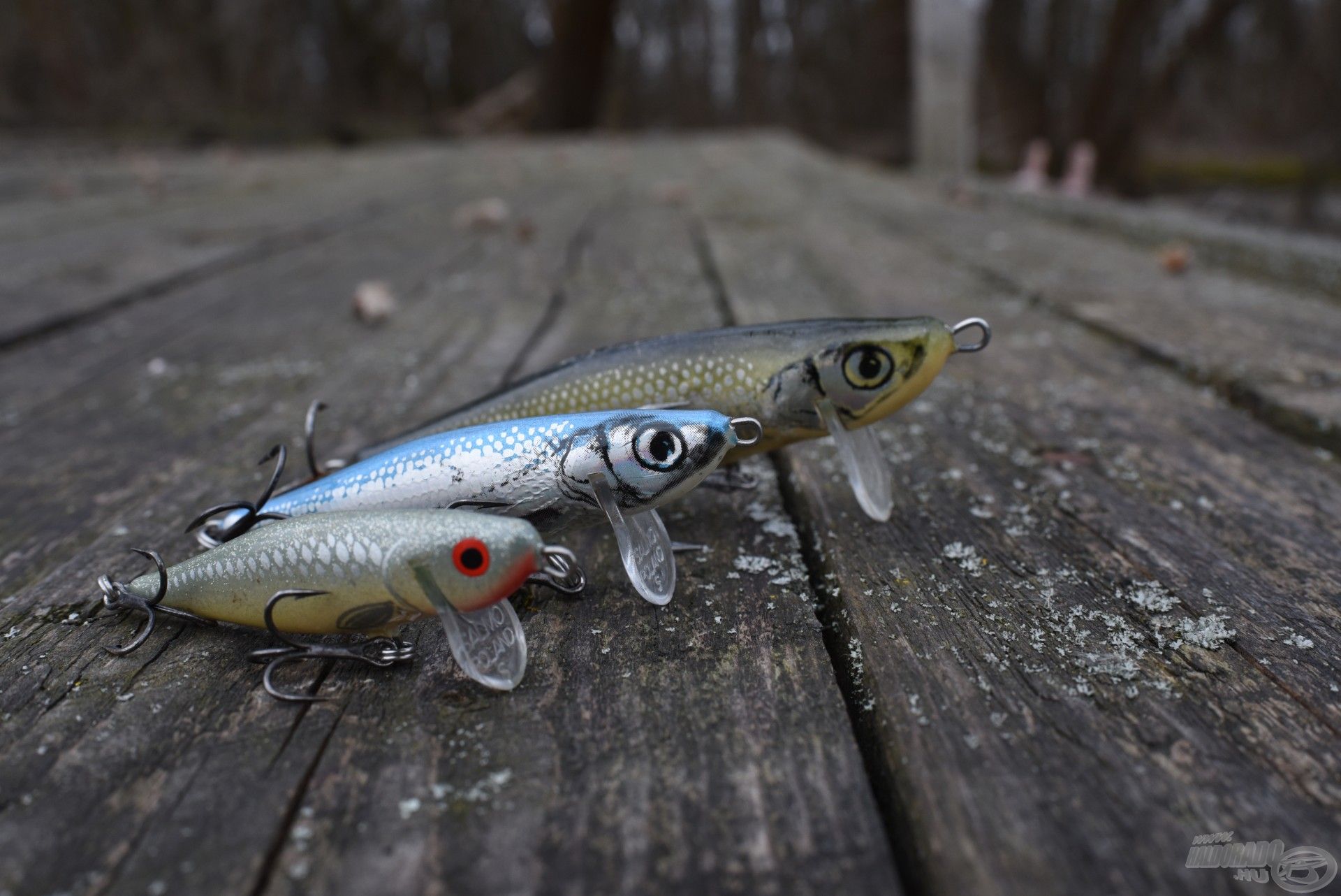 A Salmo Thrillnek sok a méret- és színvariációja, így könnyebben tudjuk a csalinkat igazítani a meghorgászott vízben élő snecik méretéhez és színéhez