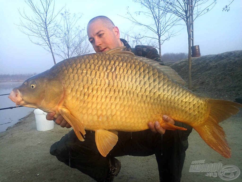 14,20 kg-os tőponty