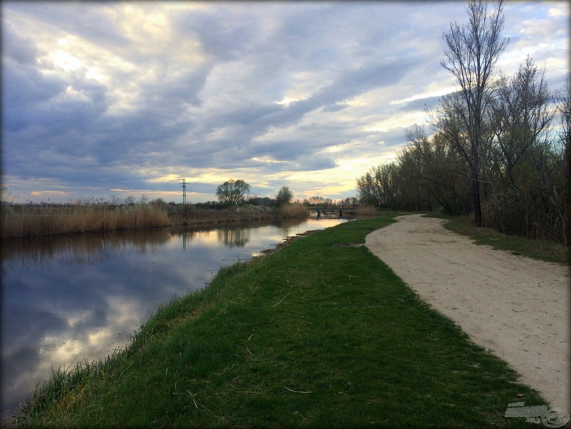 A fű kizöldül, a fák kirügyeznek, a halak pedig úsznak