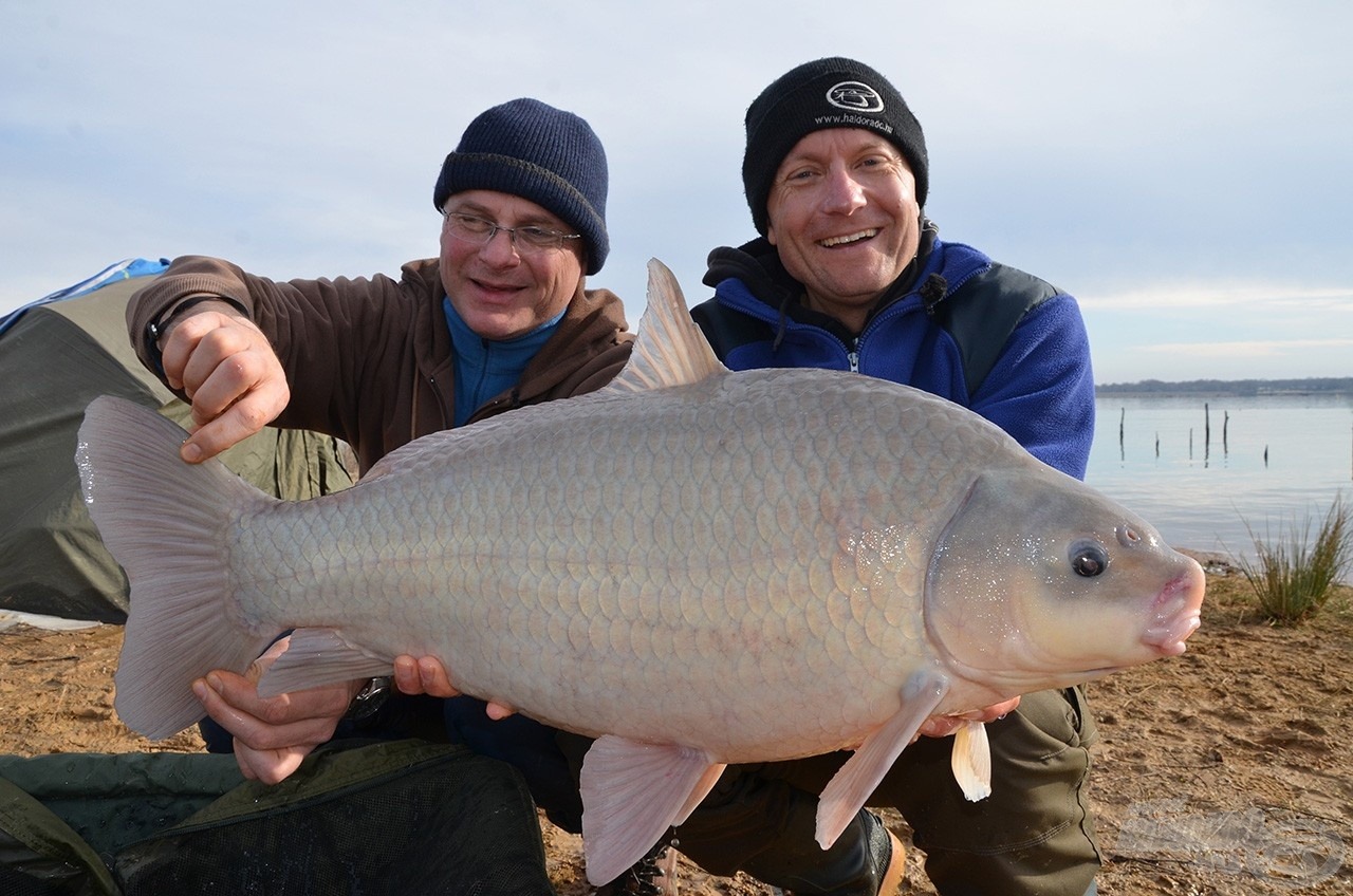 Az első baby Buffalóm 10,18 kg