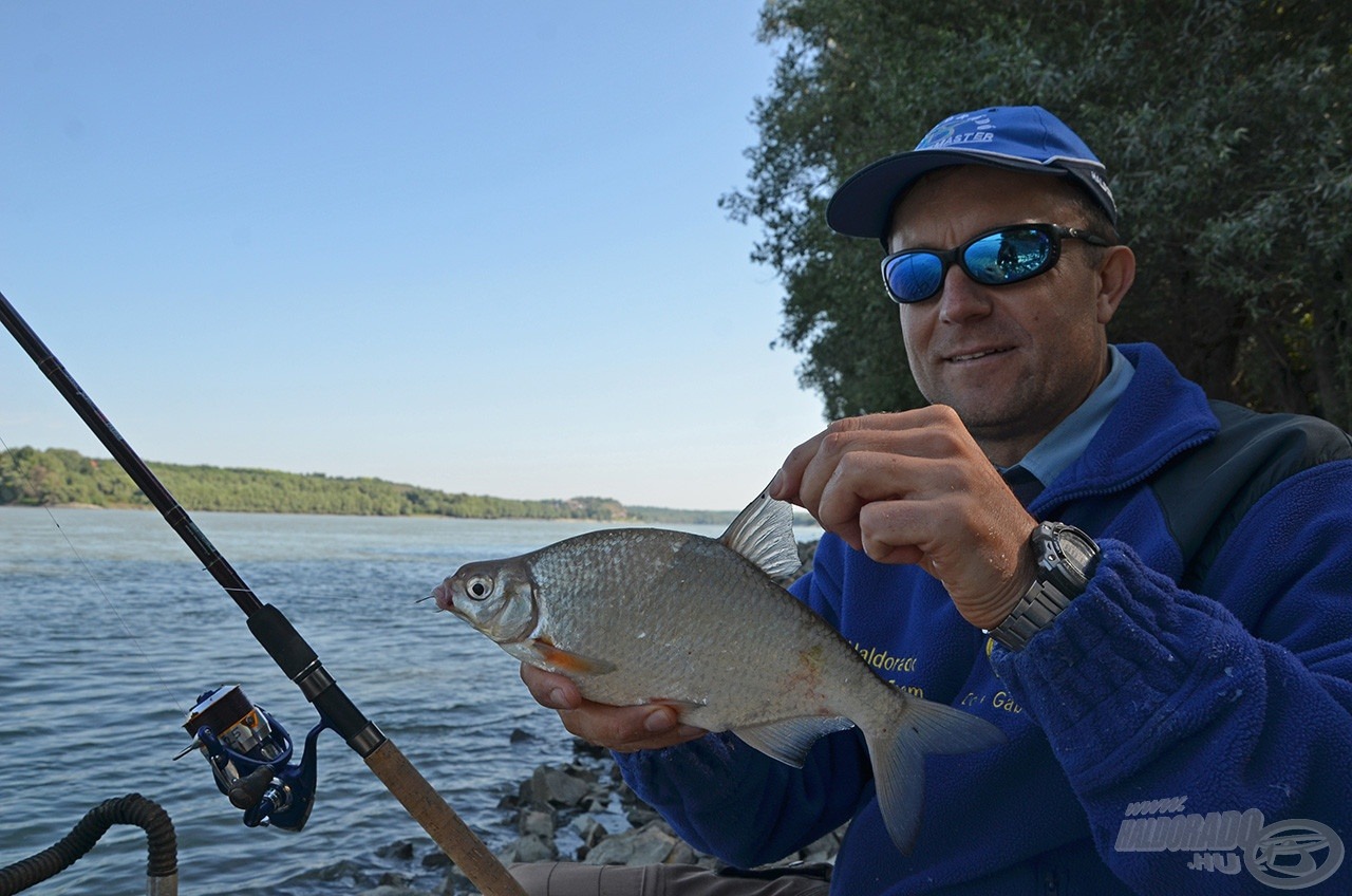 Az első jelentkezők karikakeszegek voltak