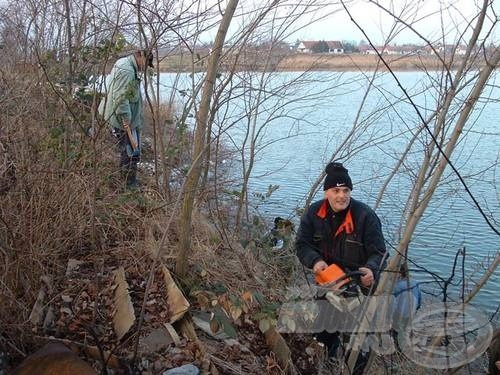 Motoros fűrész zúgása bontogatta a csendet 