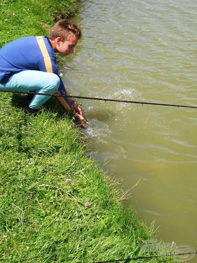 Minden halat visszaengedtünk