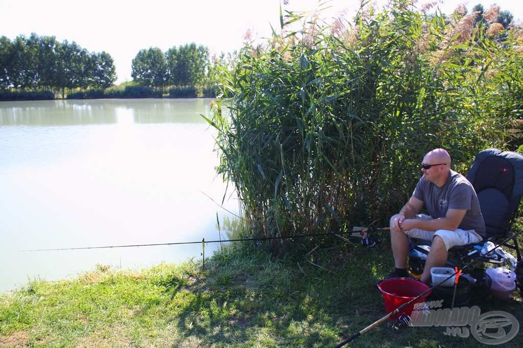 … a többség azonban a feeder mellett tette le a voksát