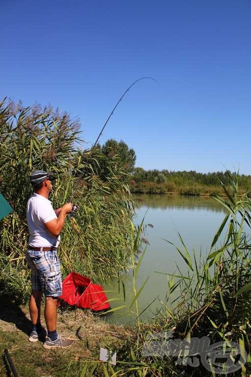 Nagy hal a horgon, Farkas Viktor (Blöff Team) óvatosan fárasztja a hatalmas uszonyost