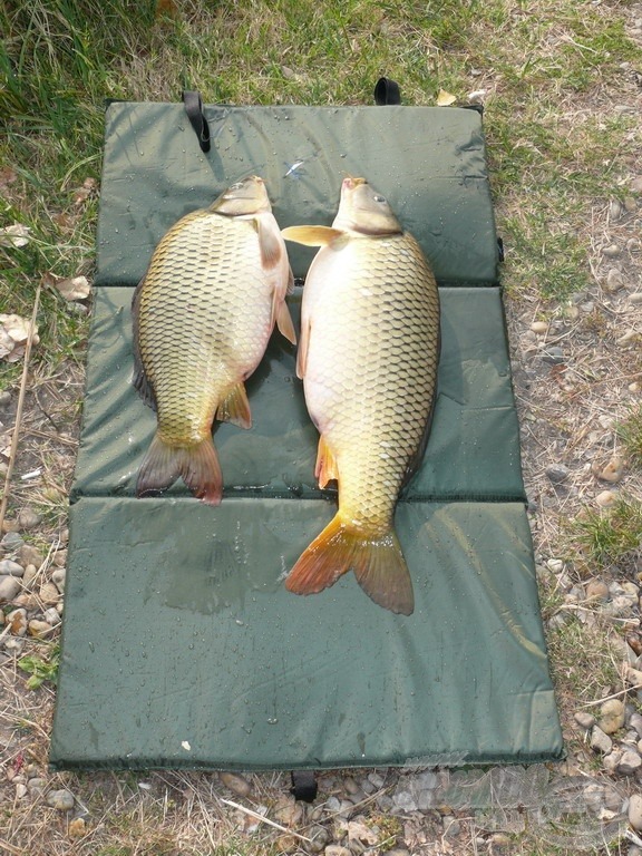 Az X2 Medium Carp már több hal vagy termetesebb egyedek biztonságos tárolását is biztosítja