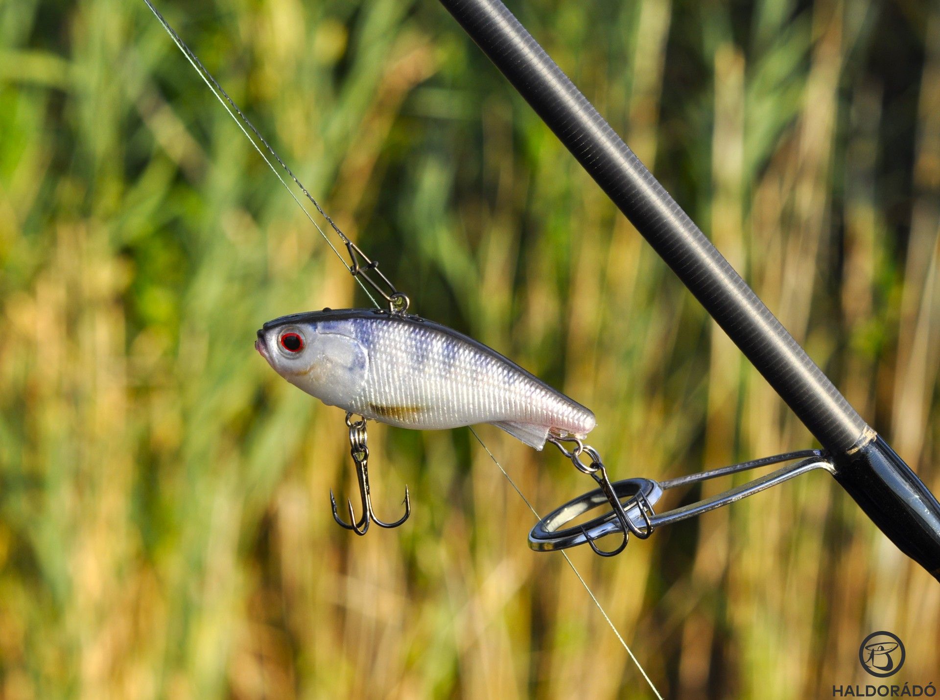 Wizard plasztikos pergetések