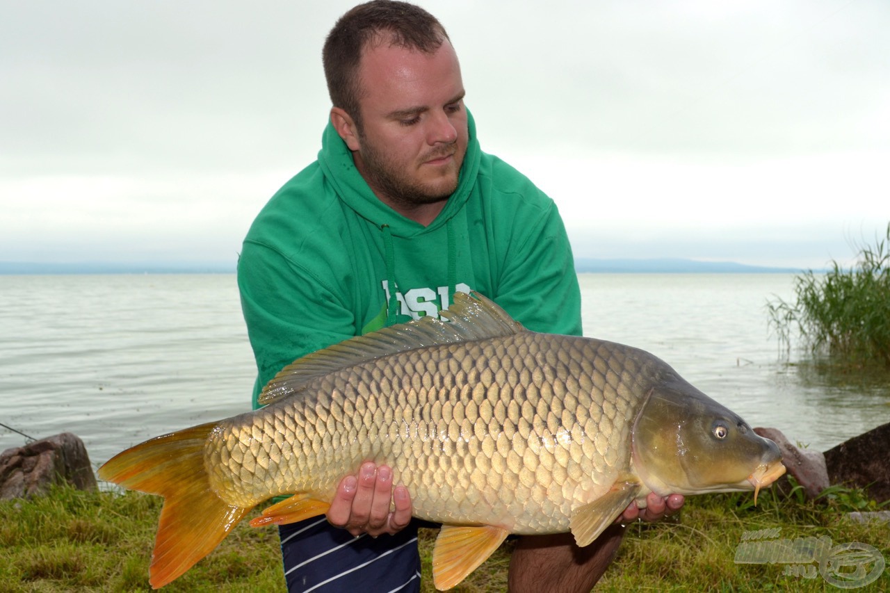 Első, 8 kg körüli pontyom a Balatonból