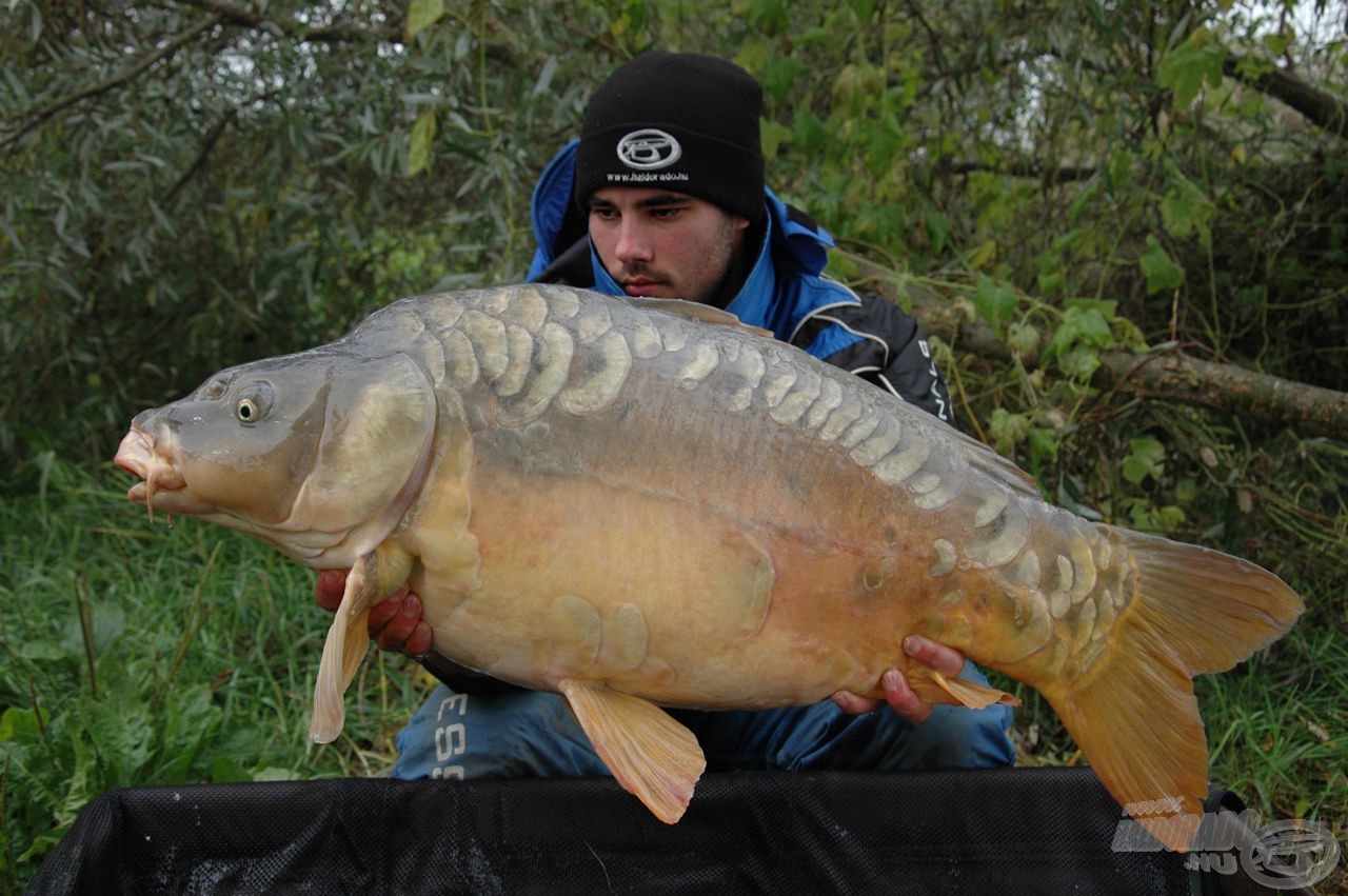 Gyönyörű spanyol pikkelyes 17,72 kg