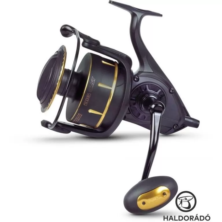 BLACK CAT Catextreme Big Cat 105 / 1