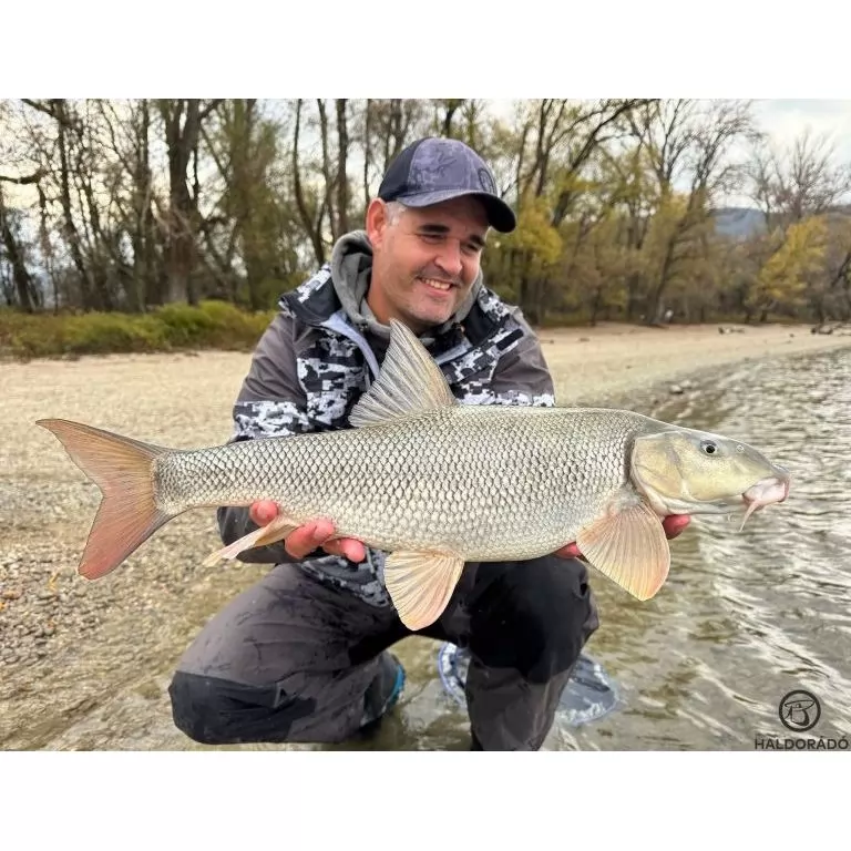 By Döme EXTREME 500 River Kaiwo Feeder 300EXH - brutál erős és rugalmas TOP folyóvízi feederbot / 13