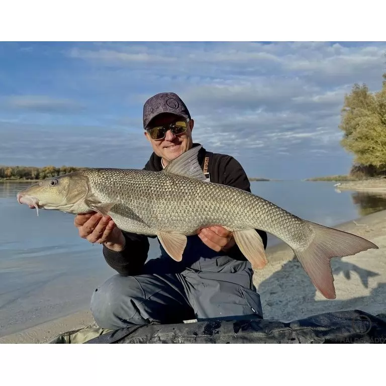 By Döme EXTREME 500 River Kaiwo Feeder 300EXH - brutál erős és rugalmas TOP folyóvízi feederbot / 28