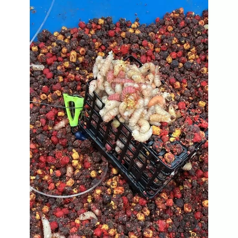 By Döme EXTREME 500 River Kaiwo Feeder 360EXH - brutál erős és rugalmas TOP folyóvízi feederbot / 17