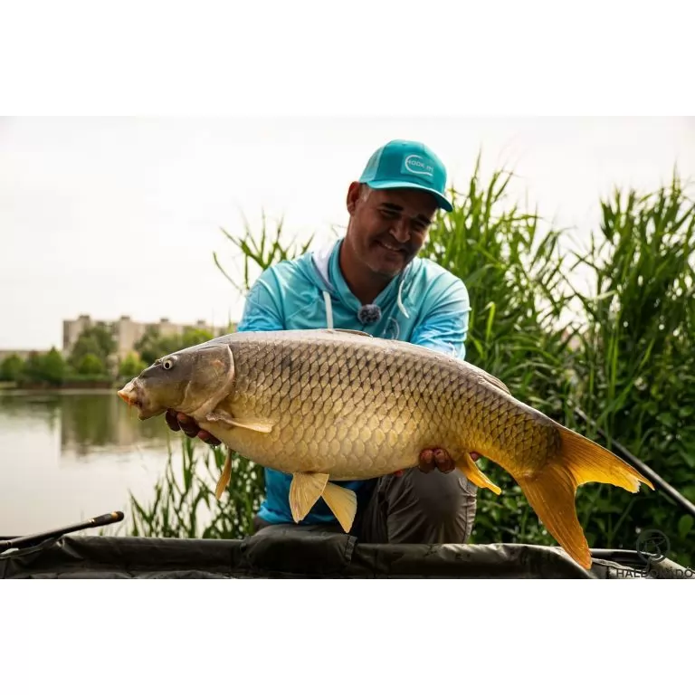 By Döme Kaiwo Gold Method Feeder 380MH horgászbot / 20