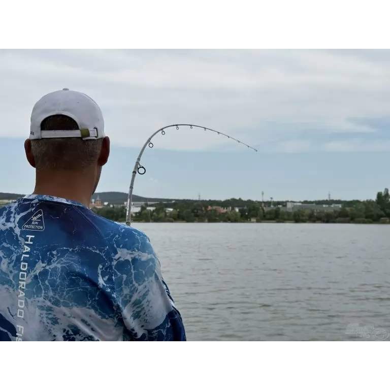 By Döme TEAM FEEDER Carp Fighter Feeder 300M horgászbot + Dobókesztyű ujj / 19