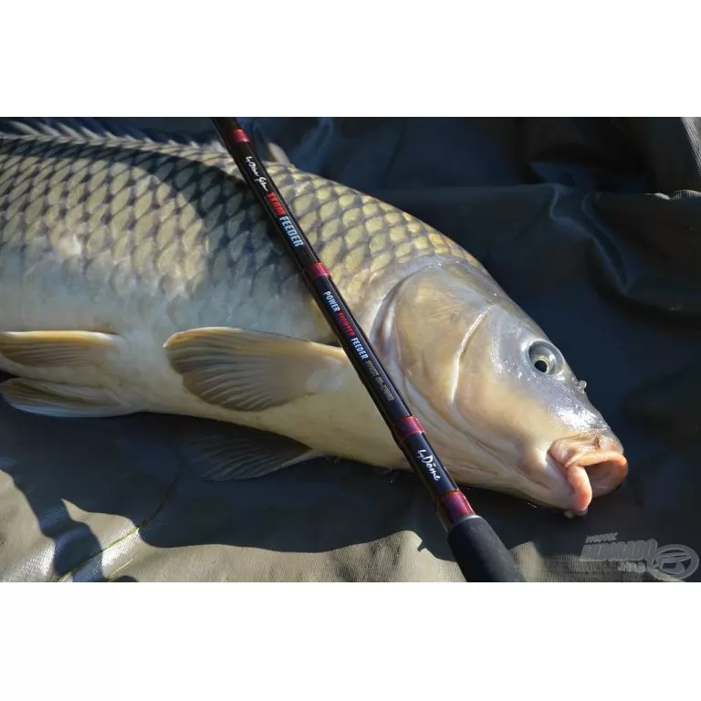 By Döme TEAM FEEDER Power Fighter Feeder 360MH horgászbot + Dobókesztyű ujj / 14