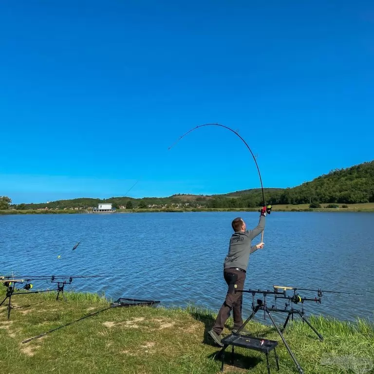 CARP ACADEMY Endless Carp 300 2 Lbs horgászbot + Dobókesztyű ujj / 6