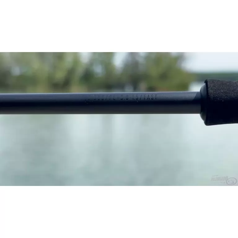 FAVORITE Black Swan 772M / 9