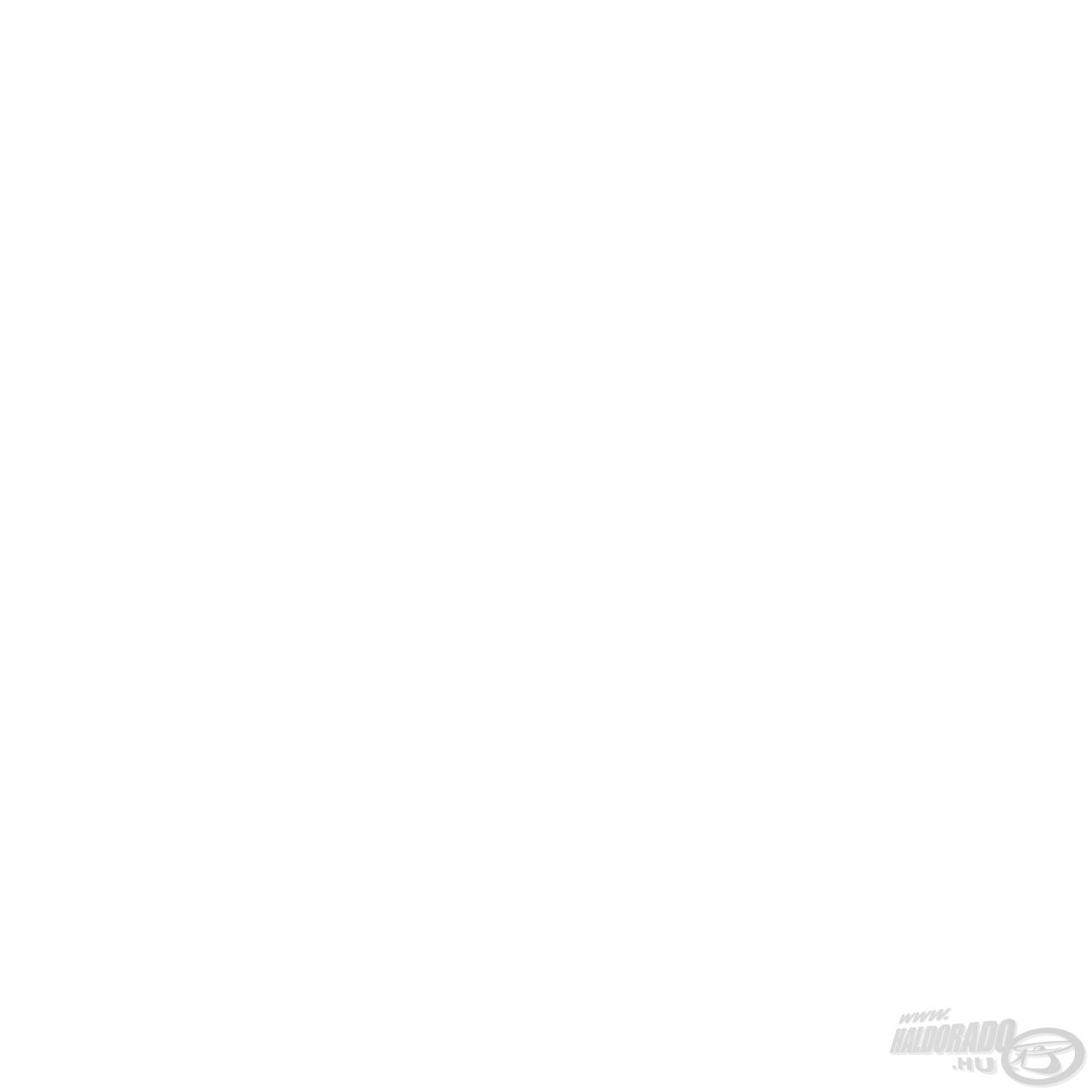 SONIK