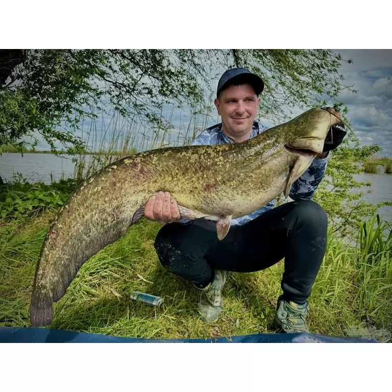 HALDORÁDÓ Catfish Rig 10 - Pelletes horogelőke / 4