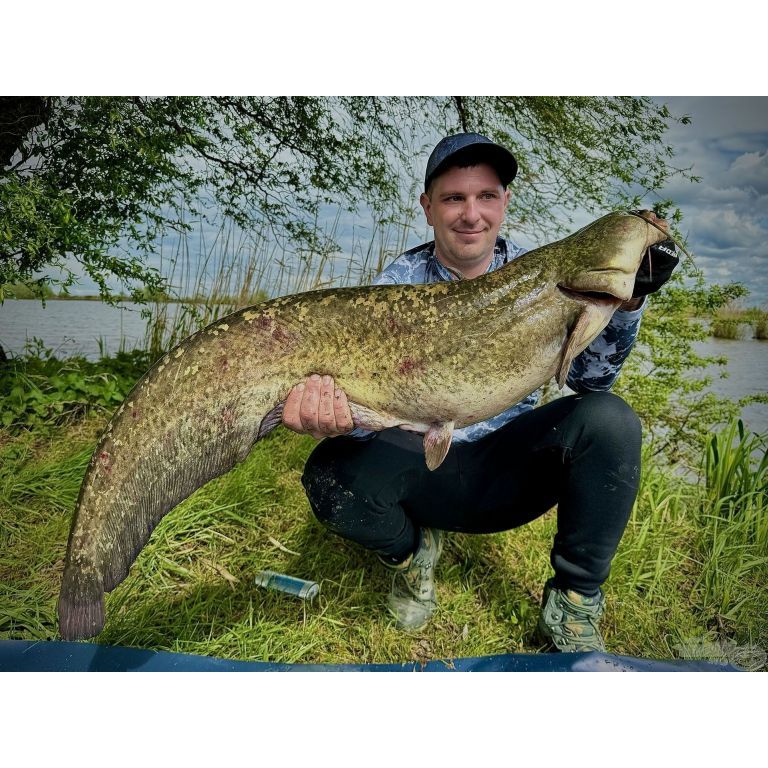 HALDORÁDÓ Catfish Rig 9 - Pop-up csalival megemelt nadályos előke