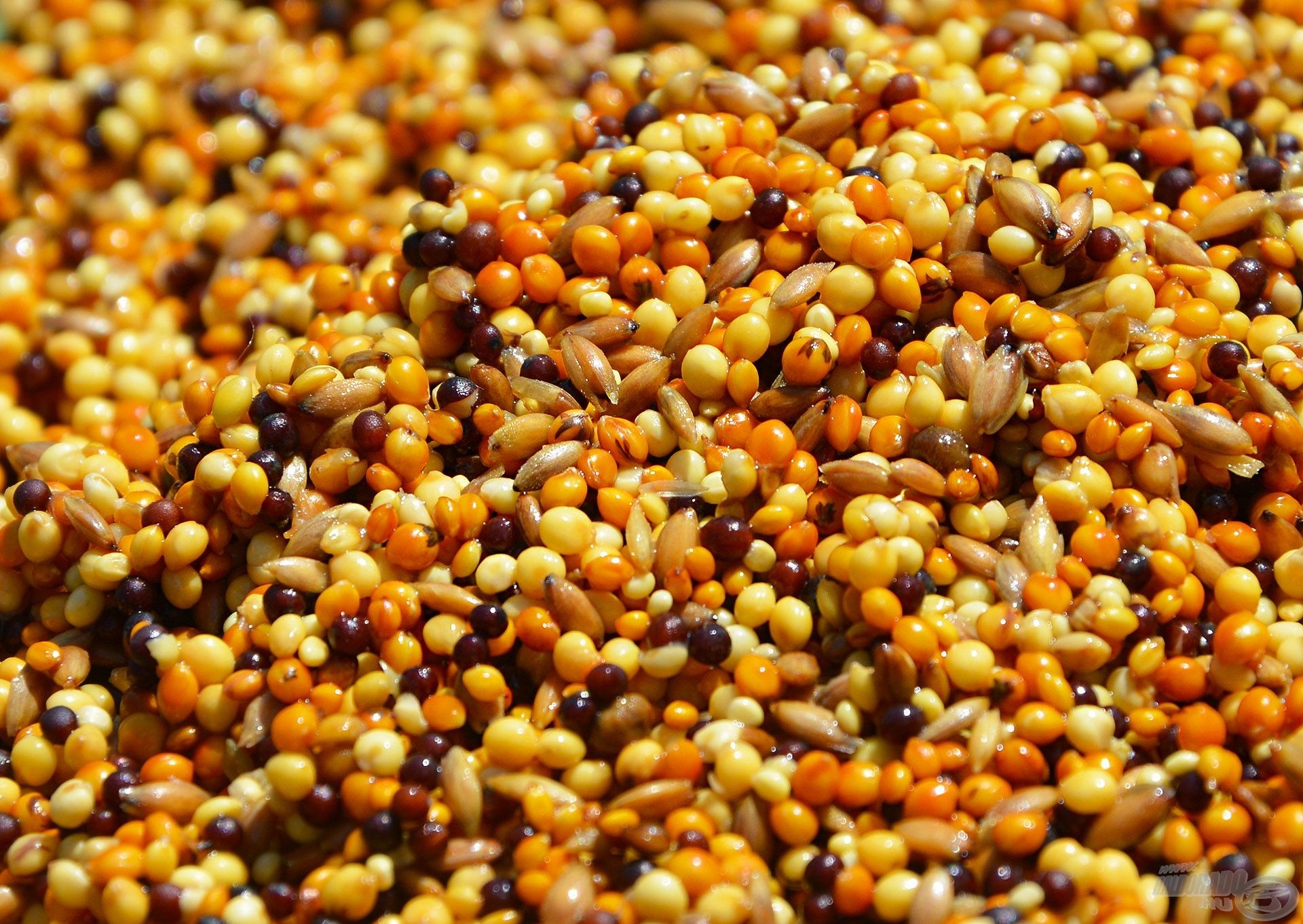 FermentX Additive - Tejsavas Micro Mag Mix