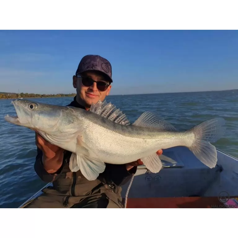 HALDORÁDÓ Predator Jig PRO 1/0 - 10 g / 6