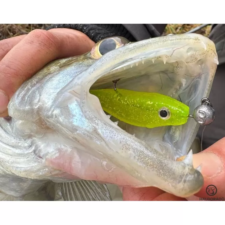 HALDORÁDÓ Predator Jig PRO 1/0 - 4 g / 3