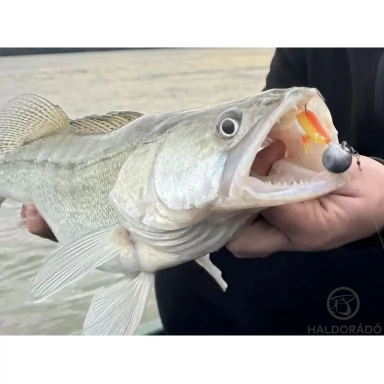 HALDORÁDÓ Predator Jig PRO 4/0 - 20 g / 2
