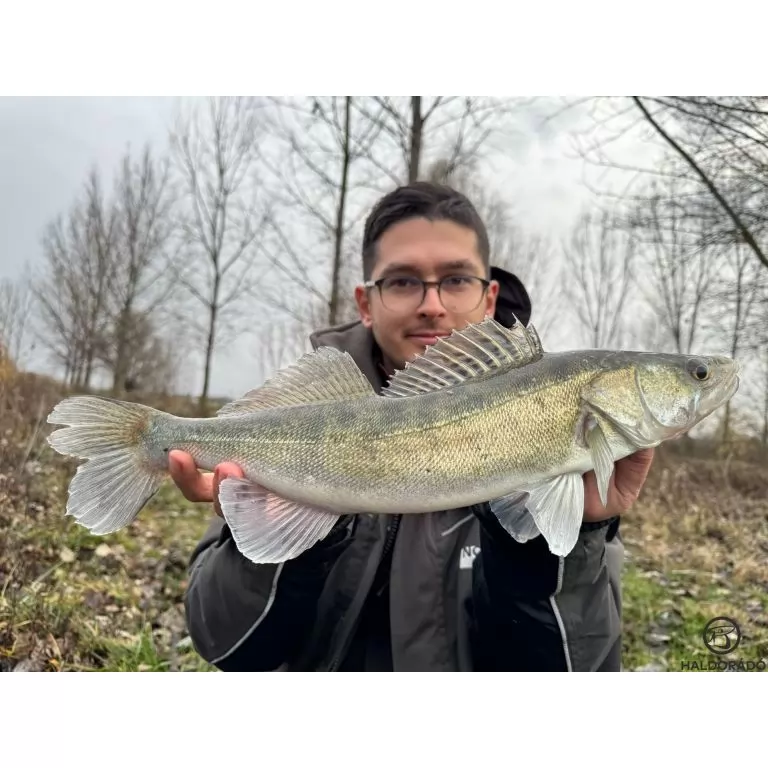 HALDORÁDÓ Predator Jig PRO 4/0 - 25 g / 3