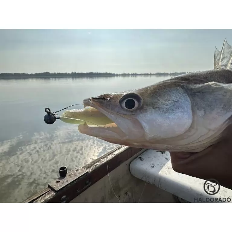 HALDORÁDÓ Predator Jig PRO 6/0 - 21 g / 2