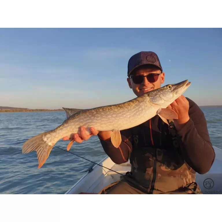 HALDORÁDÓ Predator Jig PRO 8/0 - 18 g / 4