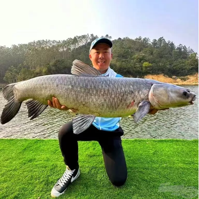 KAIWO Kardos Harci Ponty 6,3 m - extra erős spiccbot maximum 45 kg-os halakig / 15