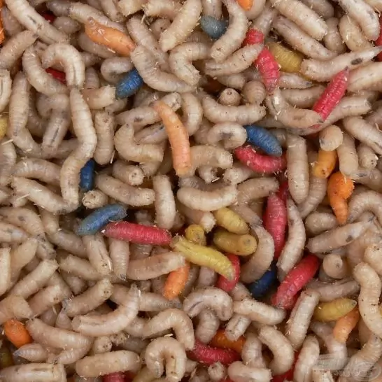 Magic Maggot csontkukac - vegyes 1 L