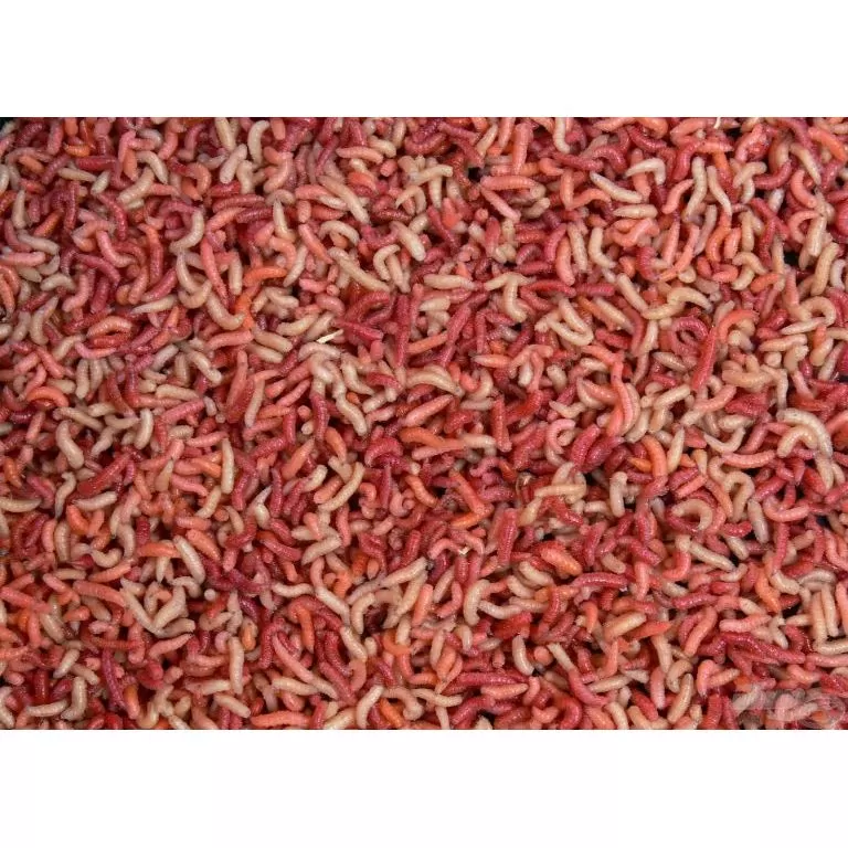 Magic Maggot Pinki színes 100 g / 1