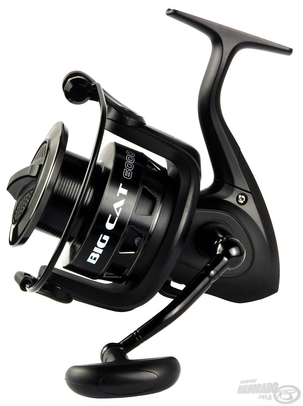 nevis-big-cat-60-haldor-d-horg-sz-ruh-z