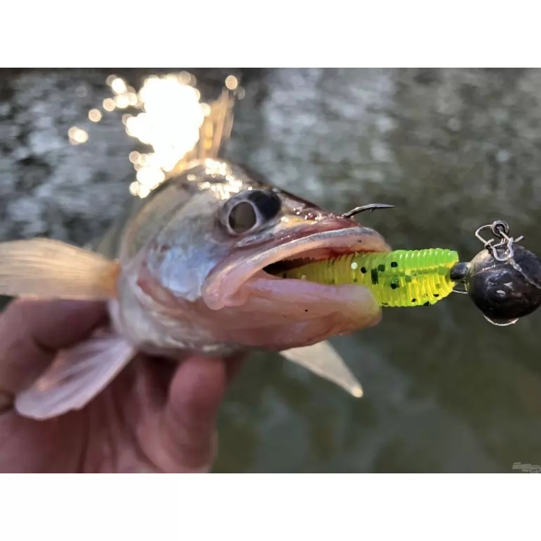 NEVIS Impulse Shad 6,3 cm - Neonzöld csillámos / 4