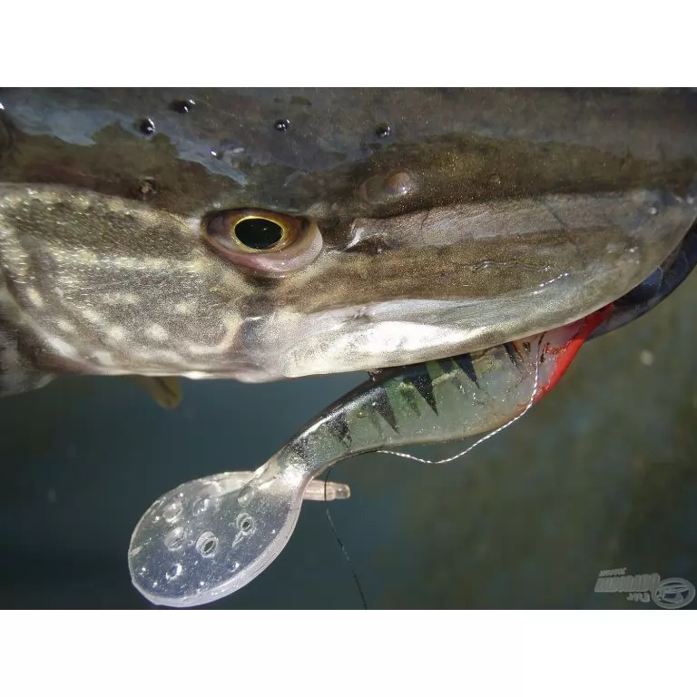 NEVIS Vantage Twister Shad 9 cm - Sárga / 2