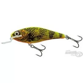 SALMO Executor IEX5SR GFP