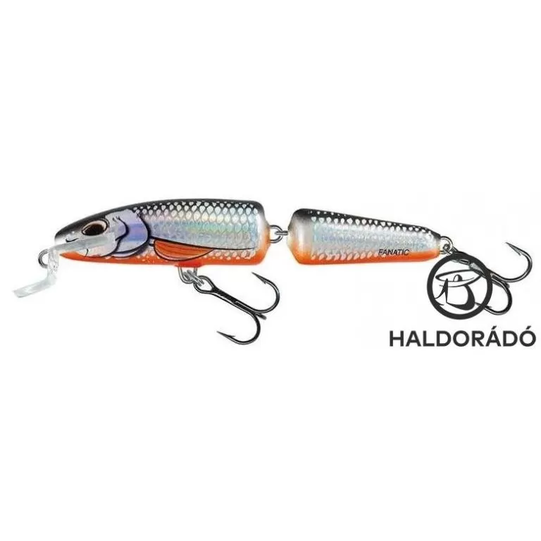 SALMO Fanatic IF7F TES / 1