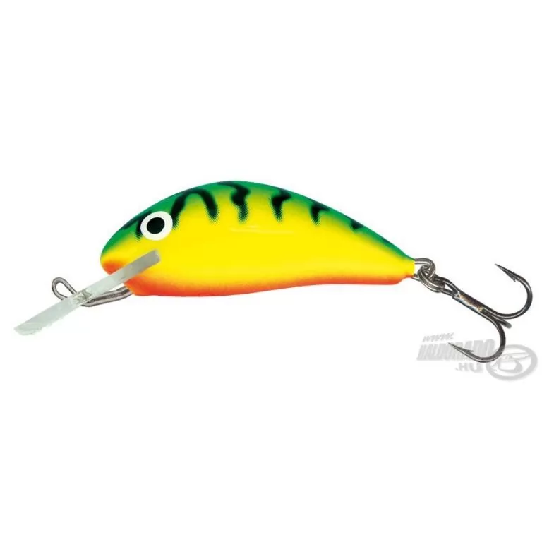 SALMO Hornet H3F GT / 1