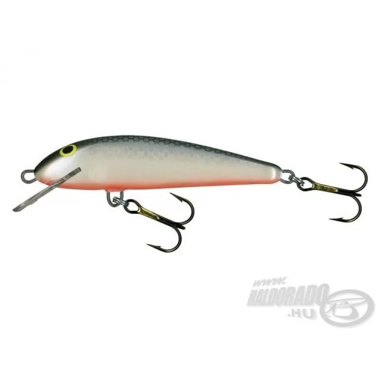 SALMO Minnow M6F GS / 1