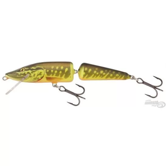 SALMO Pike PE11JF HPE